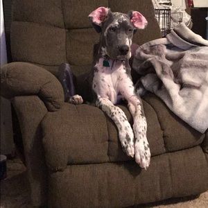 Meet your Posher, Kellie